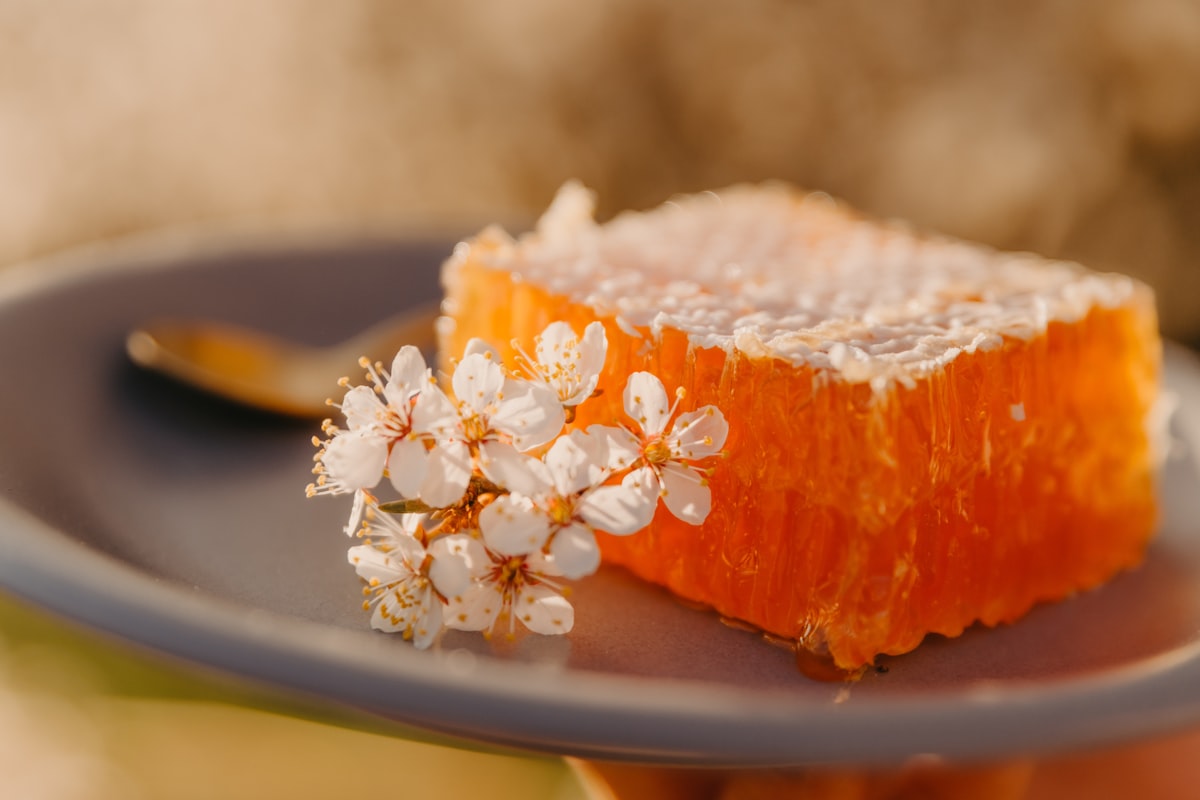 Sugar-free cooking ingredients and preparations
